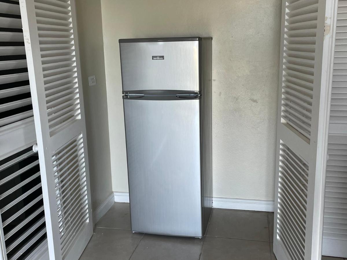 Hummingbird Retreat - Luxury Oceanview Apt, 7-Minute Walk To Beach Очо-Риос Экстерьер фото