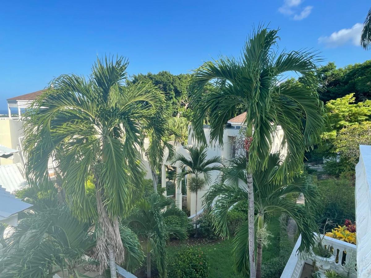 Hummingbird Retreat - Luxury Oceanview Apt, 7-Minute Walk To Beach Очо-Риос Экстерьер фото