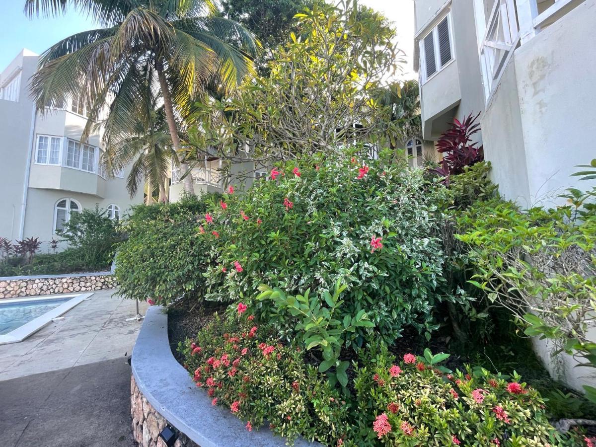 Hummingbird Retreat - Luxury Oceanview Apt, 7-Minute Walk To Beach Очо-Риос Экстерьер фото